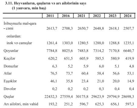 Azərbaycanda eşşəklərin sayı azalıb Azərbaycanda eşşəklərin sayı azalıb