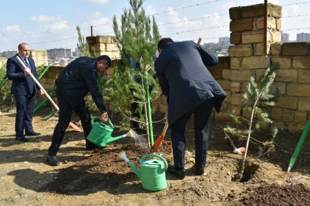 Yasamalda növbəti ekoloji aksiya keçirilib - FOTO