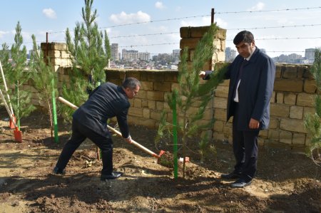 Yasamalda növbəti ekoloji aksiya keçirilib - FOTO