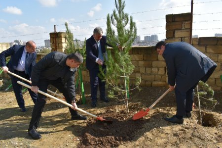 Yasamalda növbəti ekoloji aksiya keçirilib - FOTO