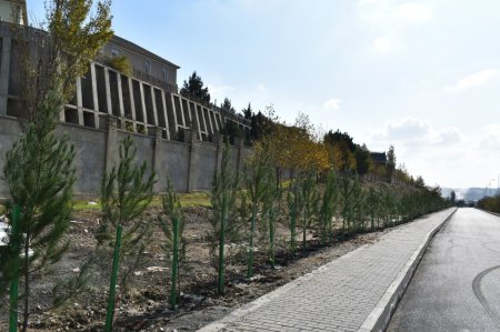 Yasamalda növbəti ekoloji aksiya keçirilib - FOTO