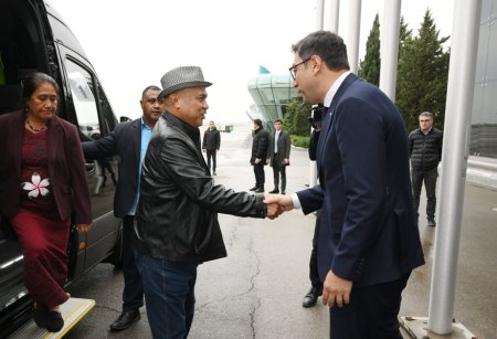 Dövlət rəsmiləri COP29-a görə Azərbaycana gəlirlər - FOTO