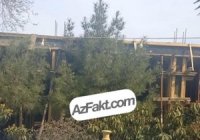 Sumqayıtda  qanunsuz tikinti davam etdirilir - FOTO