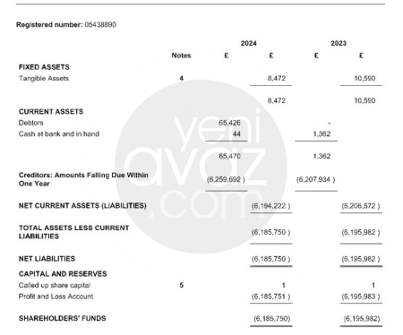 Sabiq məmur övladalarının Londondakı şirkətləri maliyyə hesabatlarını açıqlayıblar