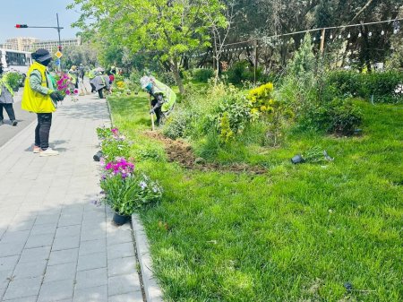 Xətai rayonunda iməclik aksiyası keçirildi - FOTO Xətai rayonunda iməclik aksiyası keçirildi - FOTO