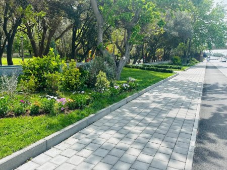 Xətai rayonunda iməclik aksiyası keçirildi - FOTO Xətai rayonunda iməclik aksiyası keçirildi - FOTO