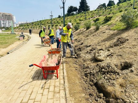 Xətai rayonunda iməclik aksiyası keçirildi - FOTO Xətai rayonunda iməclik aksiyası keçirildi - FOTO