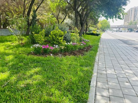 Xətai rayonunda iməclik aksiyası keçirildi - FOTO Xətai rayonunda iməclik aksiyası keçirildi - FOTO