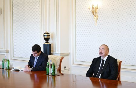 Prezident Maqdalena Qrononu qəbul edib