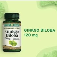 Ginkgo biloba – yaddaş və sağlamlıq üçün qədim sirr