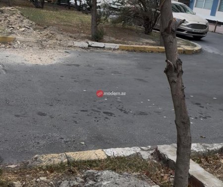 Binəqədi rayonunda yeni qanunsuz obyekt tikintisi üçün ərazi hazırlanır? -Ağaclar belə məhv edilir-Fotofakt Binəqədi rayonunda yeni qanunsuz obyekt tikintisi üçün ərazi hazırlanır? -Ağaclar belə məhv edilir-Fotofakt