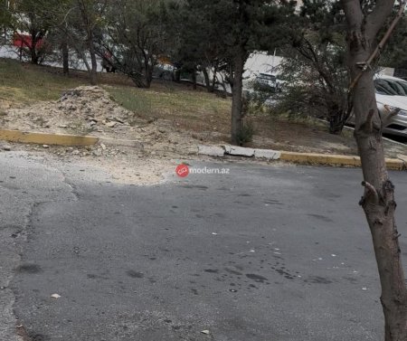 Binəqədi rayonunda yeni qanunsuz obyekt tikintisi üçün ərazi hazırlanır? -Ağaclar belə məhv edilir-Fotofakt Binəqədi rayonunda yeni qanunsuz obyekt tikintisi üçün ərazi hazırlanır? -Ağaclar belə məhv edilir-Fotofakt