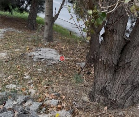 Binəqədi rayonunda yeni qanunsuz obyekt tikintisi üçün ərazi hazırlanır? -Ağaclar belə məhv edilir-Fotofakt Binəqədi rayonunda yeni qanunsuz obyekt tikintisi üçün ərazi hazırlanır? -Ağaclar belə məhv edilir-Fotofakt