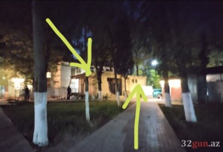 Qazaxda parklar “işğal” altında – yaşıllıqlar obyektlərin qurbanına çevrilib / FOTOLAR