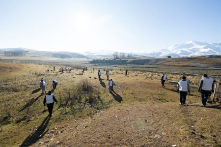 Daşkəsən rayonunda növbəti ekoloji aksiya təşkil edilib - FOTO