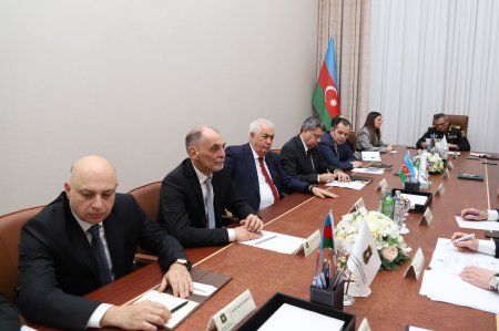 Yanvar çağırışının gedişatı müzakirə olundu