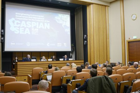 Leyla Əliyeva Cenevrədə müzakirələrdə iştirak etdi - FOTOLAR Leyla Əliyeva Cenevrədə müzakirələrdə iştirak etdi - FOTOLAR