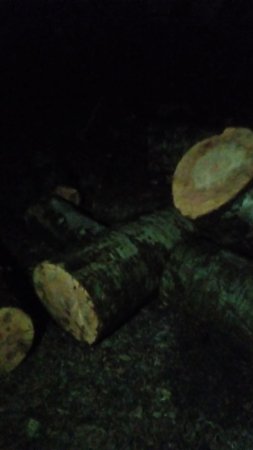 İsmayıllı meşələrində "ağac soyqırmı": Meşə materialı daşıyan maşın ələ keçdi - FOTO İsmayıllı meşələrində "ağac soyqırmı": Meşə materialı daşıyan maşın ələ keçdi - FOTO