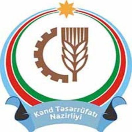 Neft avtomatlaşdırmasından aqrar siyasətə – bu karyera doğrudanmı məntiqlidir?