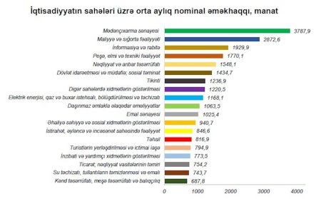 Ölkədə ən aşağı və ən yüksək maaş bu sahələrdədir — SİYAHI