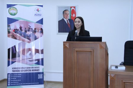 Bakıda "imtahan" verdiyi anda Gəncədə çıxış edir... - Saxtakarlıq