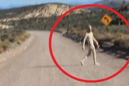 Rəsmi şəxs yadplanetlilərin mövcudluğunu təsdiqlədi – “Şəxsən görmüşəm”