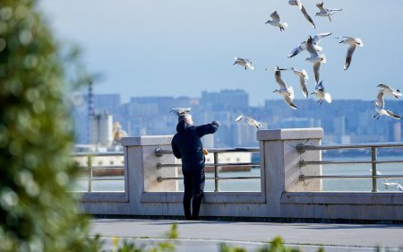 Sabah hava necə olacaq? Sabah hava necə olacaq?