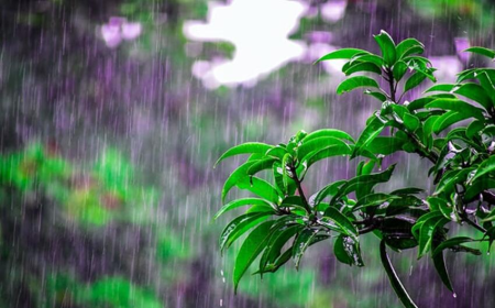 Hava ilə bağlı xəbərdarlıq: Temperatur 7 dərəcə enəcək
