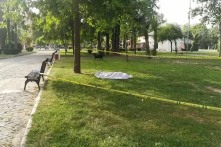 Bakıda Milli Parkın ərazisində meyit tapıldı