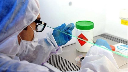 Fransada Ebolaya ilk yoluxma qeydə alındı